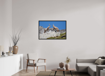 105 x 70 cm, Floater Frame Bouquetin / Ibex