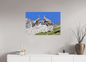 Bouquetin / Ibex