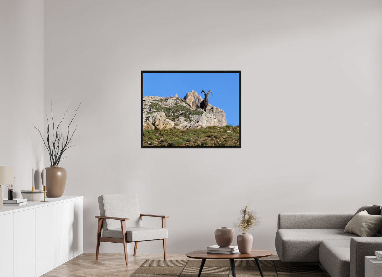 Bouquetin / Ibex