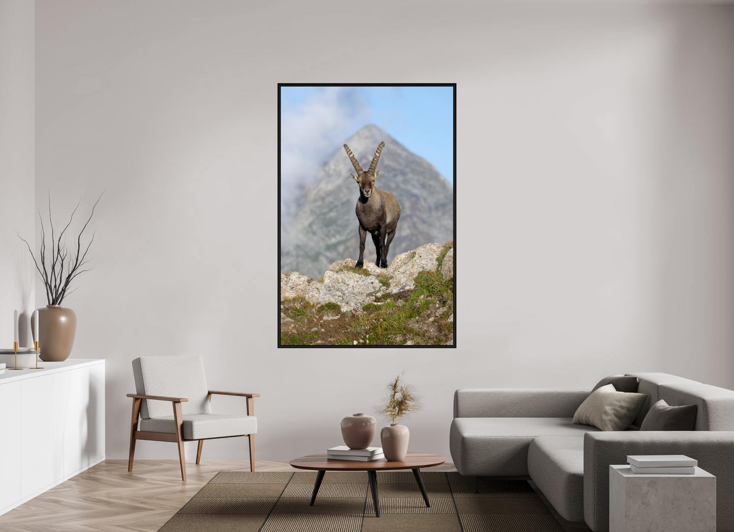 Bouquetin / Ibex