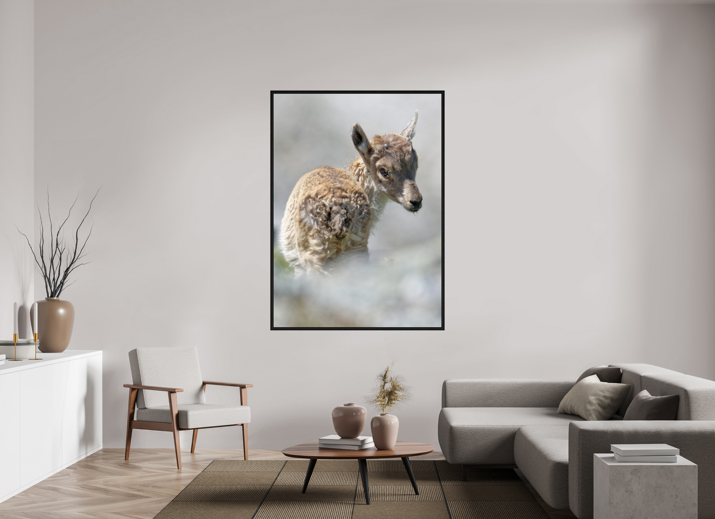 Bouquetin / Ibex