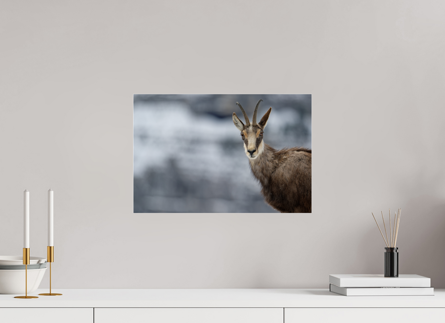 Chamois