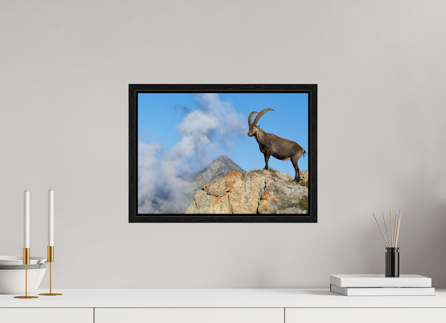 Bouquetin / Ibex