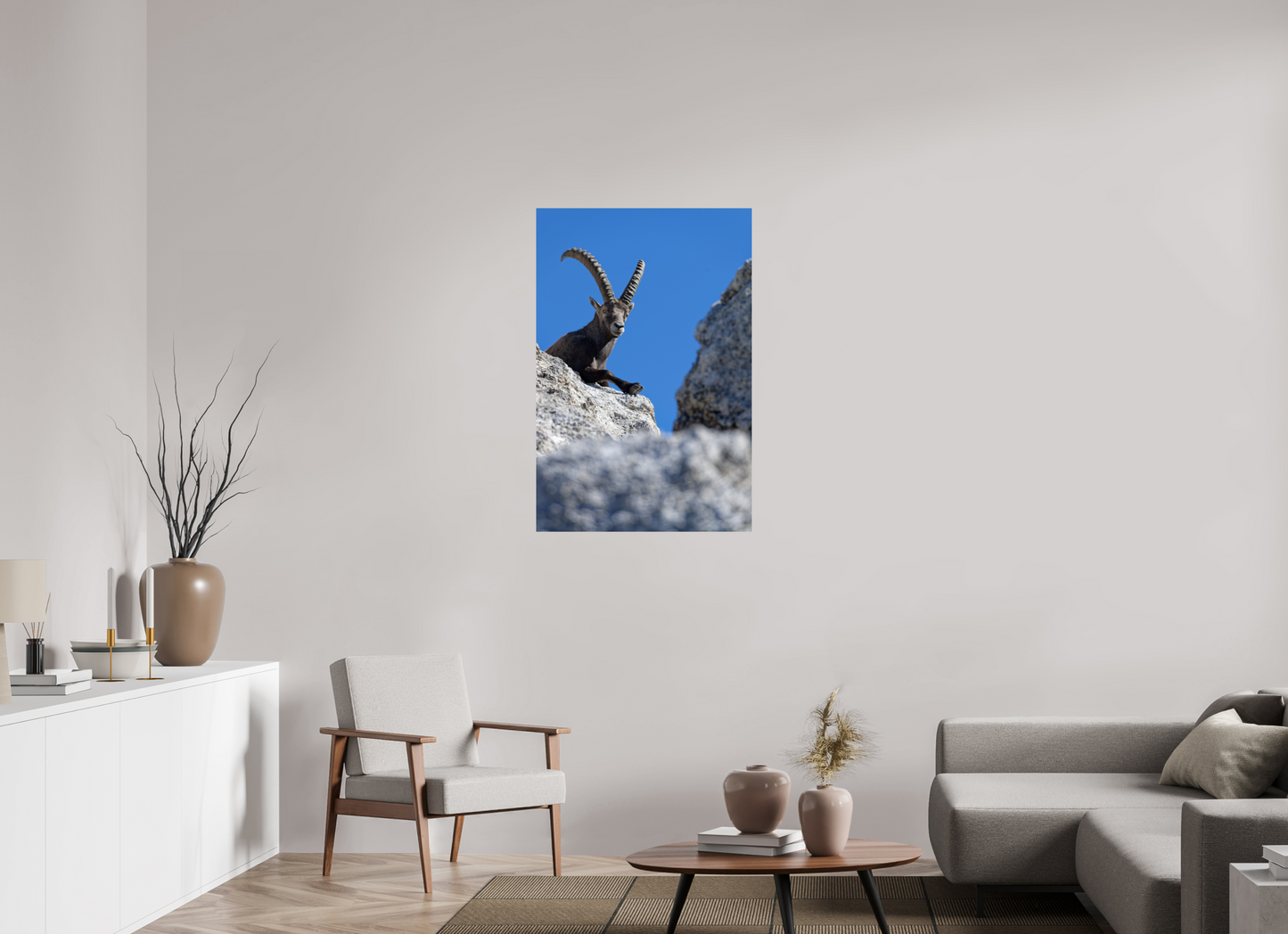 Bouquetin / Ibex