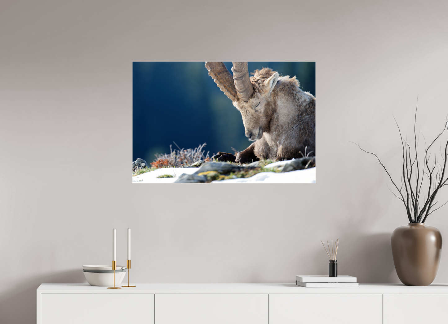 Bouquetin / Ibex