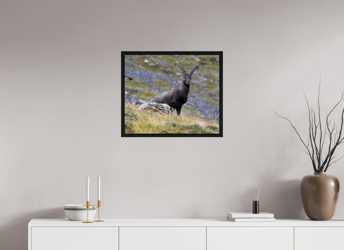 Bouquetin / Ibex