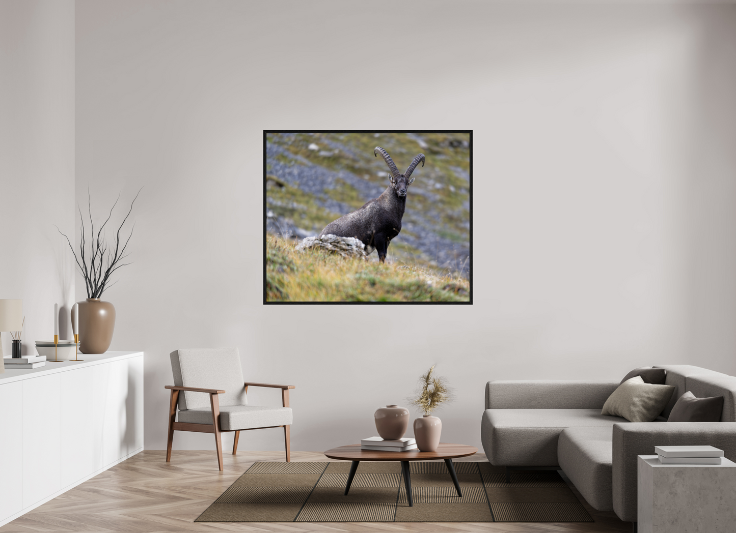 Bouquetin / Ibex
