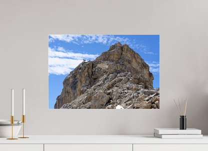 Bouquetin / Ibex