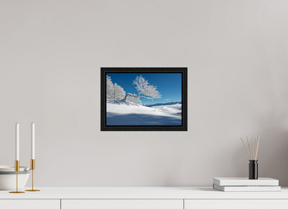 Hiver / Winter