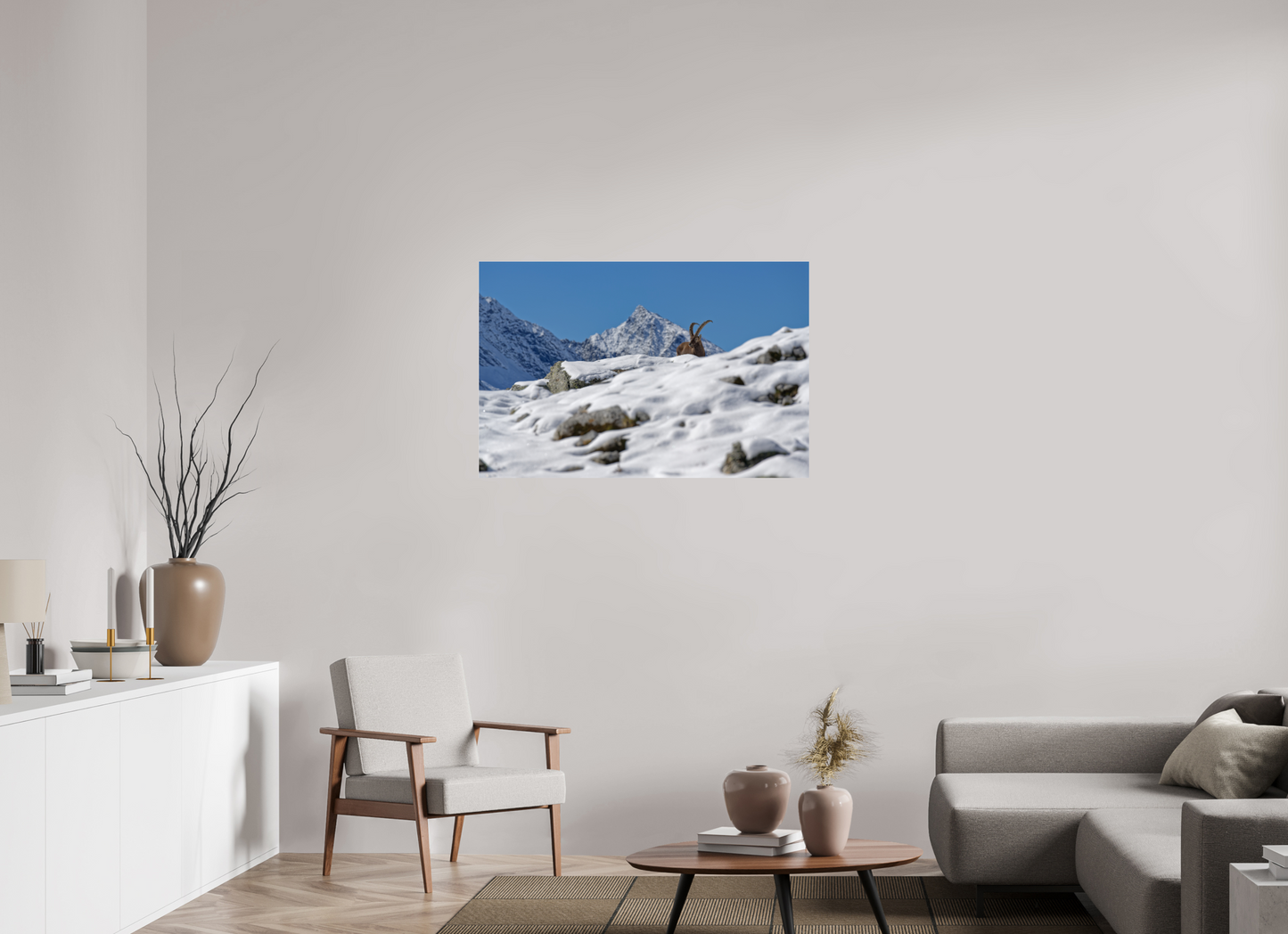 Bouquetin / Ibex