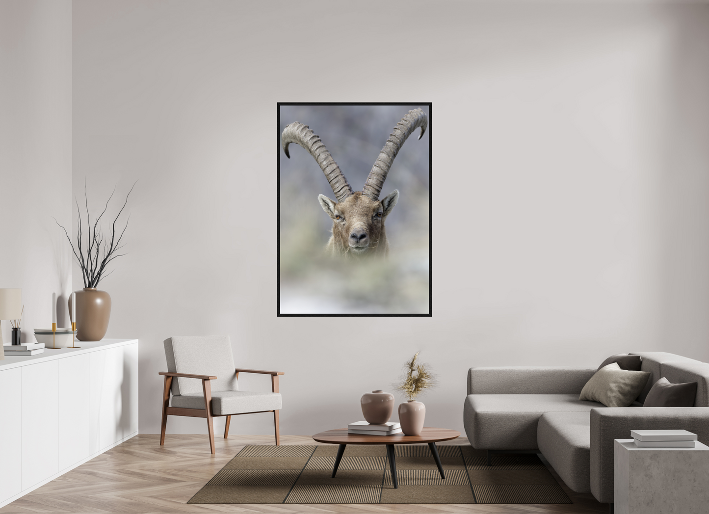 Bouquetin / Ibex