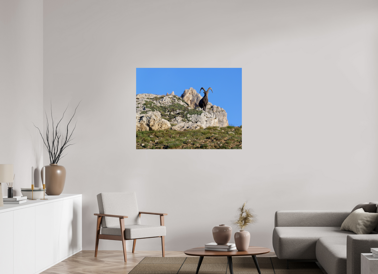 Bouquetin / Ibex
