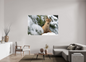 Bouquetin / Ibex