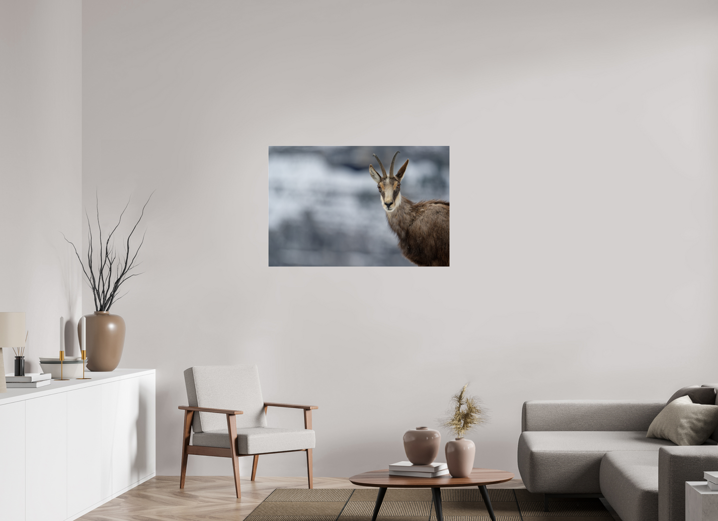 Chamois