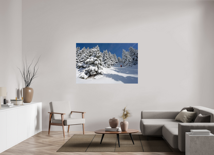 Hiver / Winter
