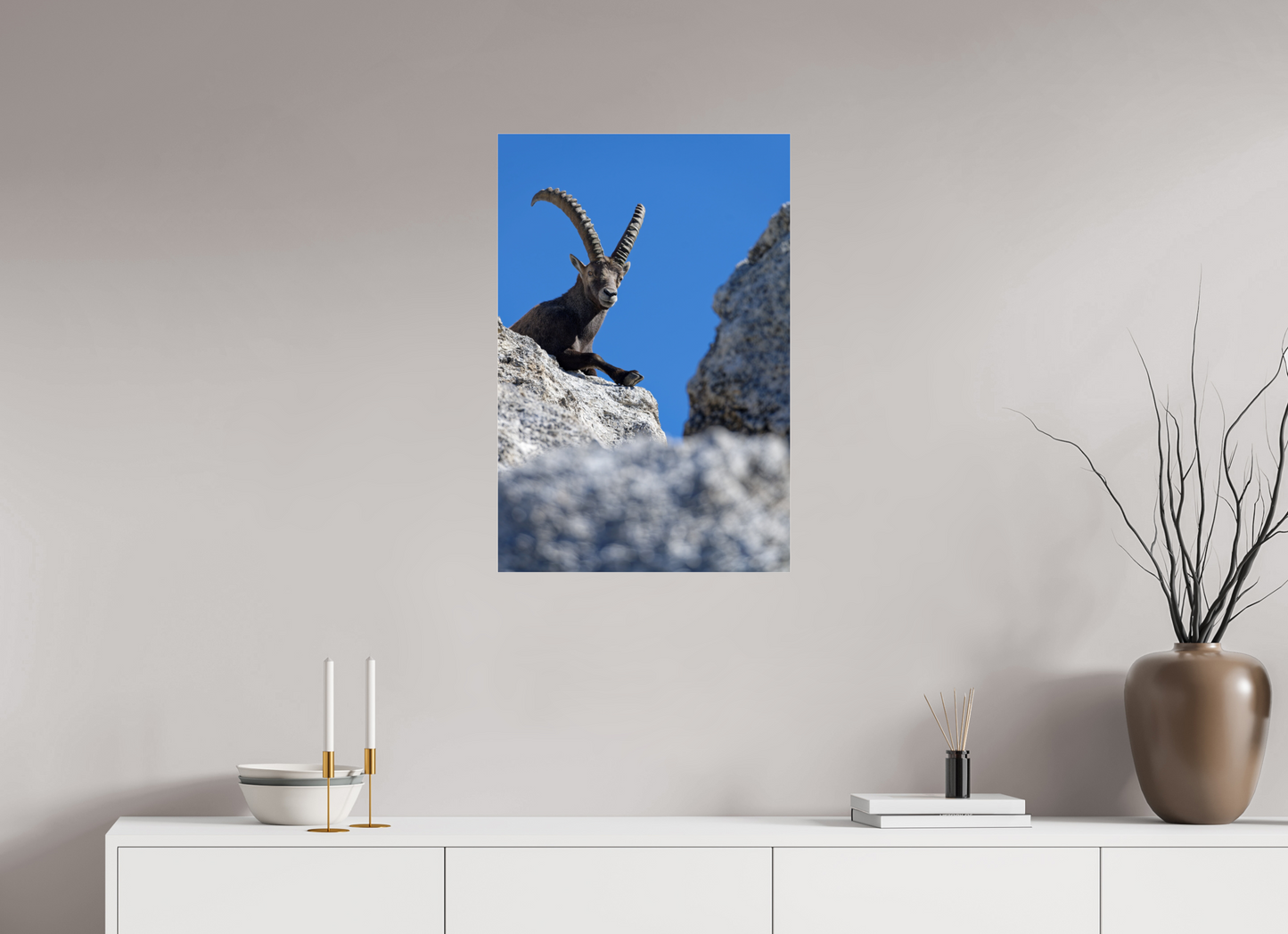 Bouquetin / Ibex