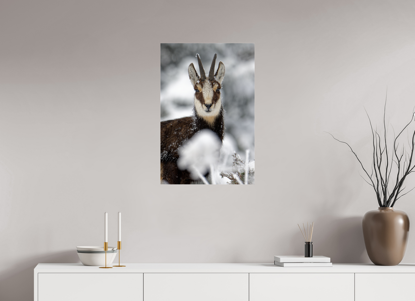 Chamois