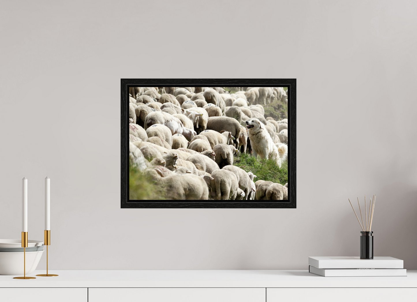 Autres animaux / Other animals