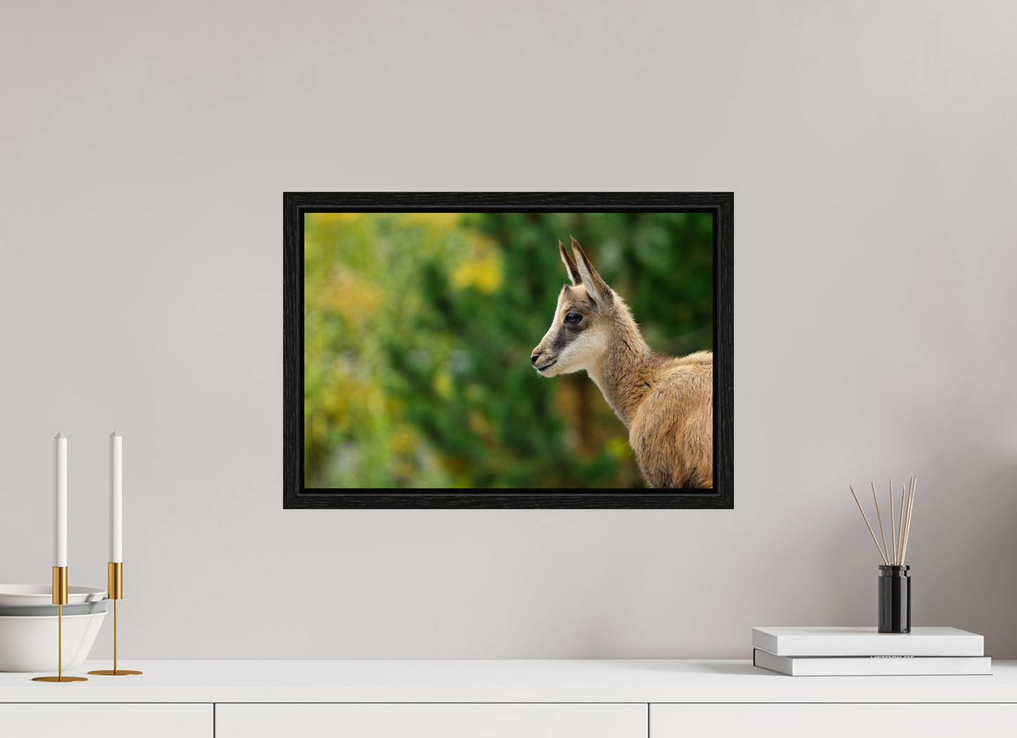 Chamois