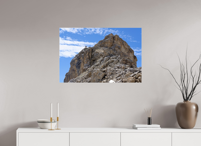 Bouquetin / Ibex