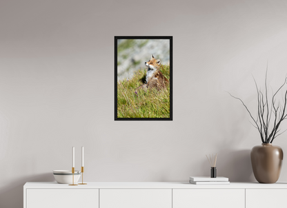 Autres animaux / Other animals