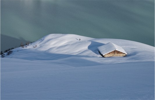 Hiver / Winter