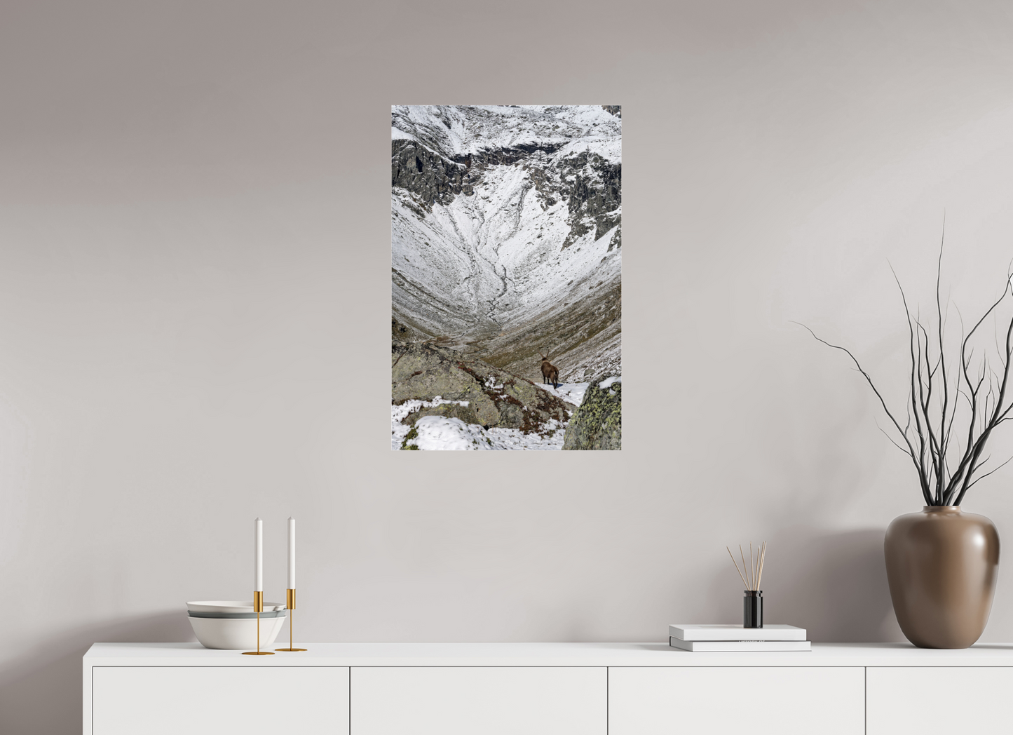 Bouquetin / Ibex