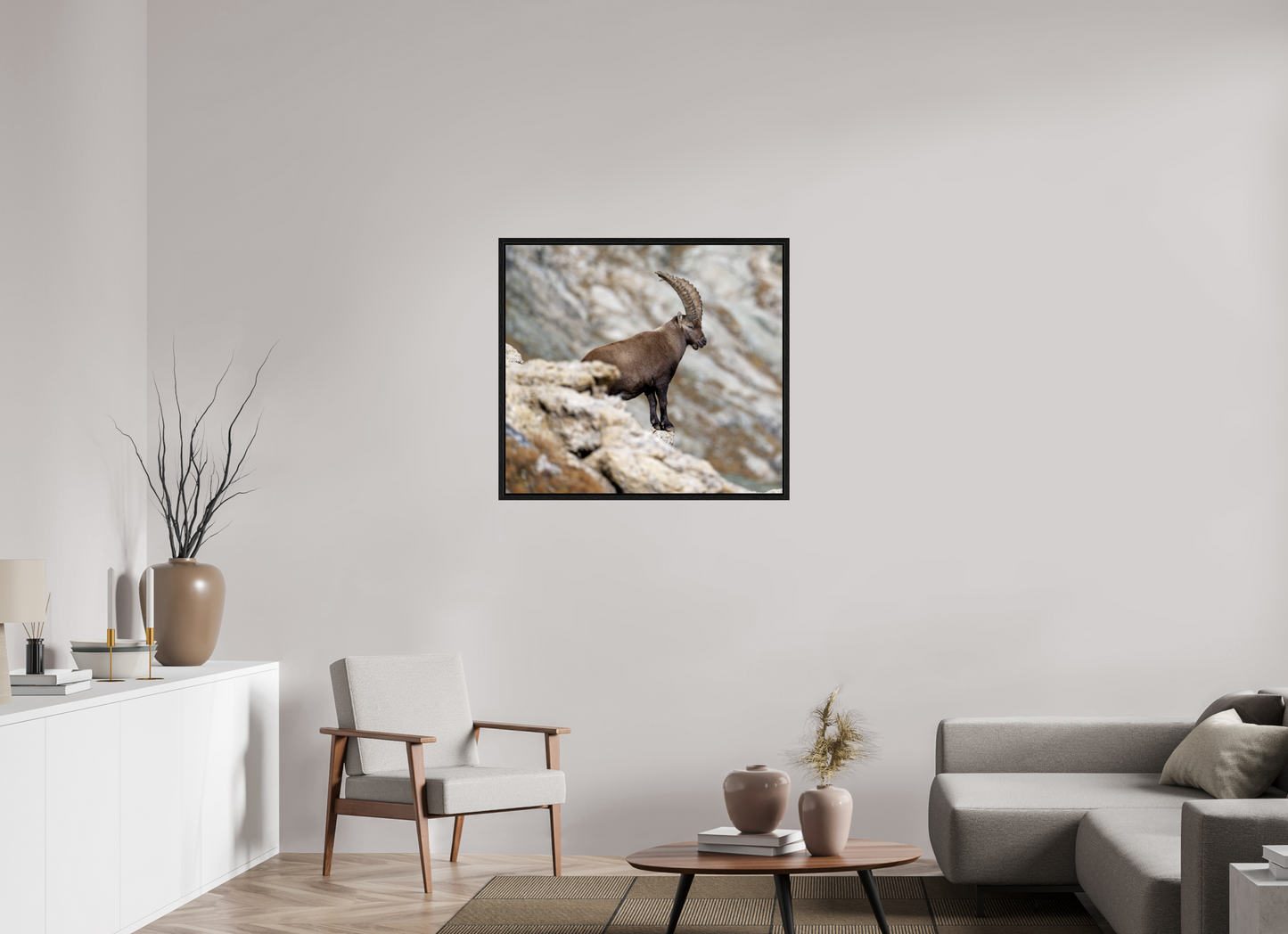 Bouquetin / Ibex