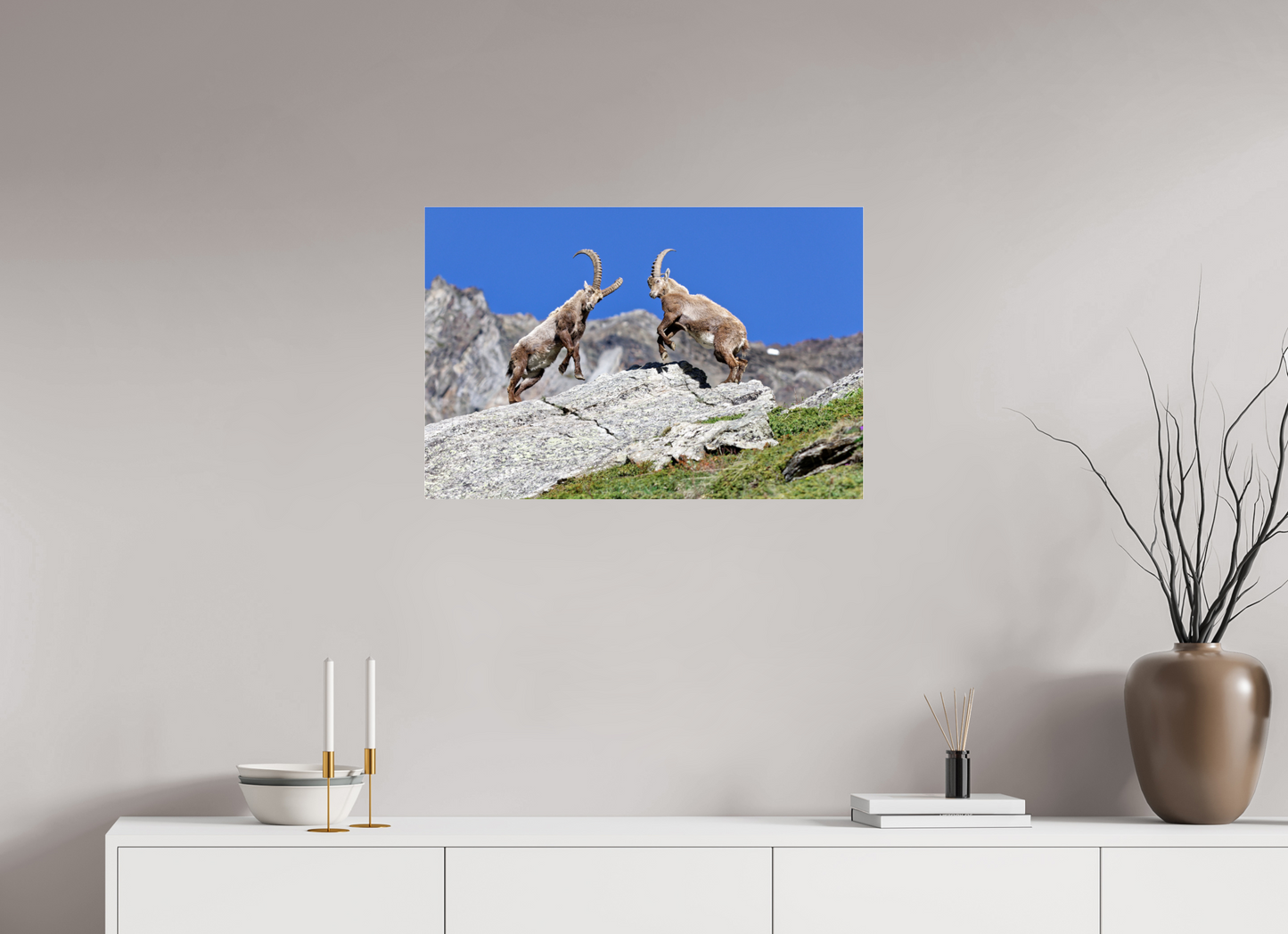 Bouquetin / Ibex