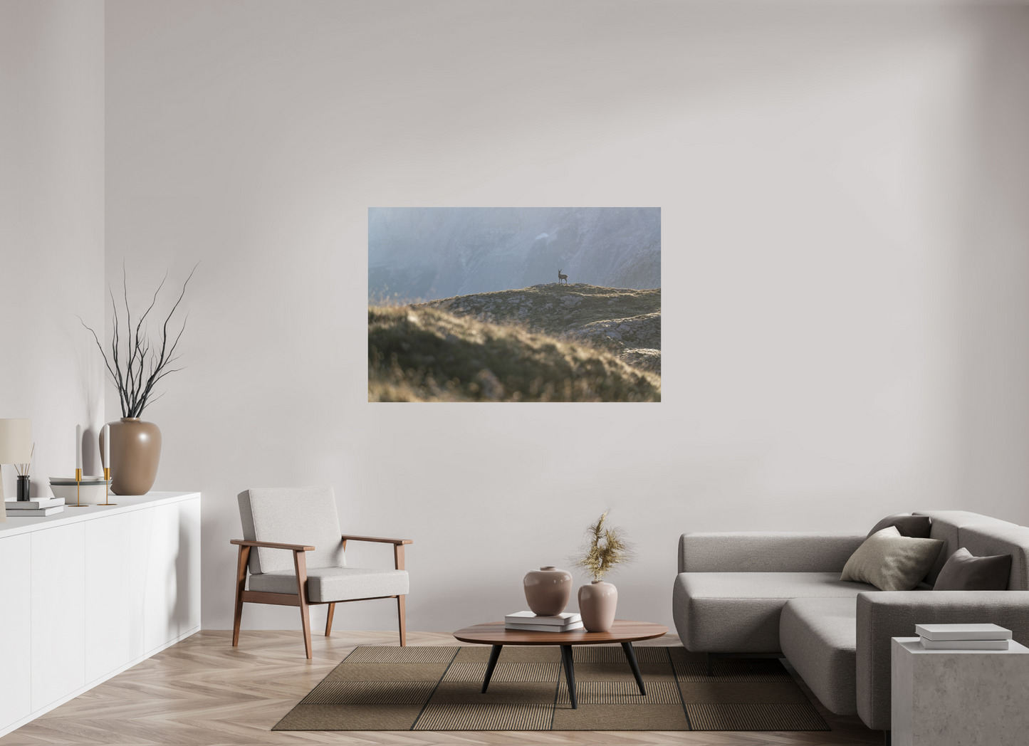 Bouquetin / Ibex