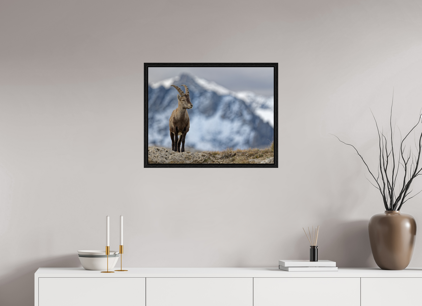 Bouquetin / Ibex