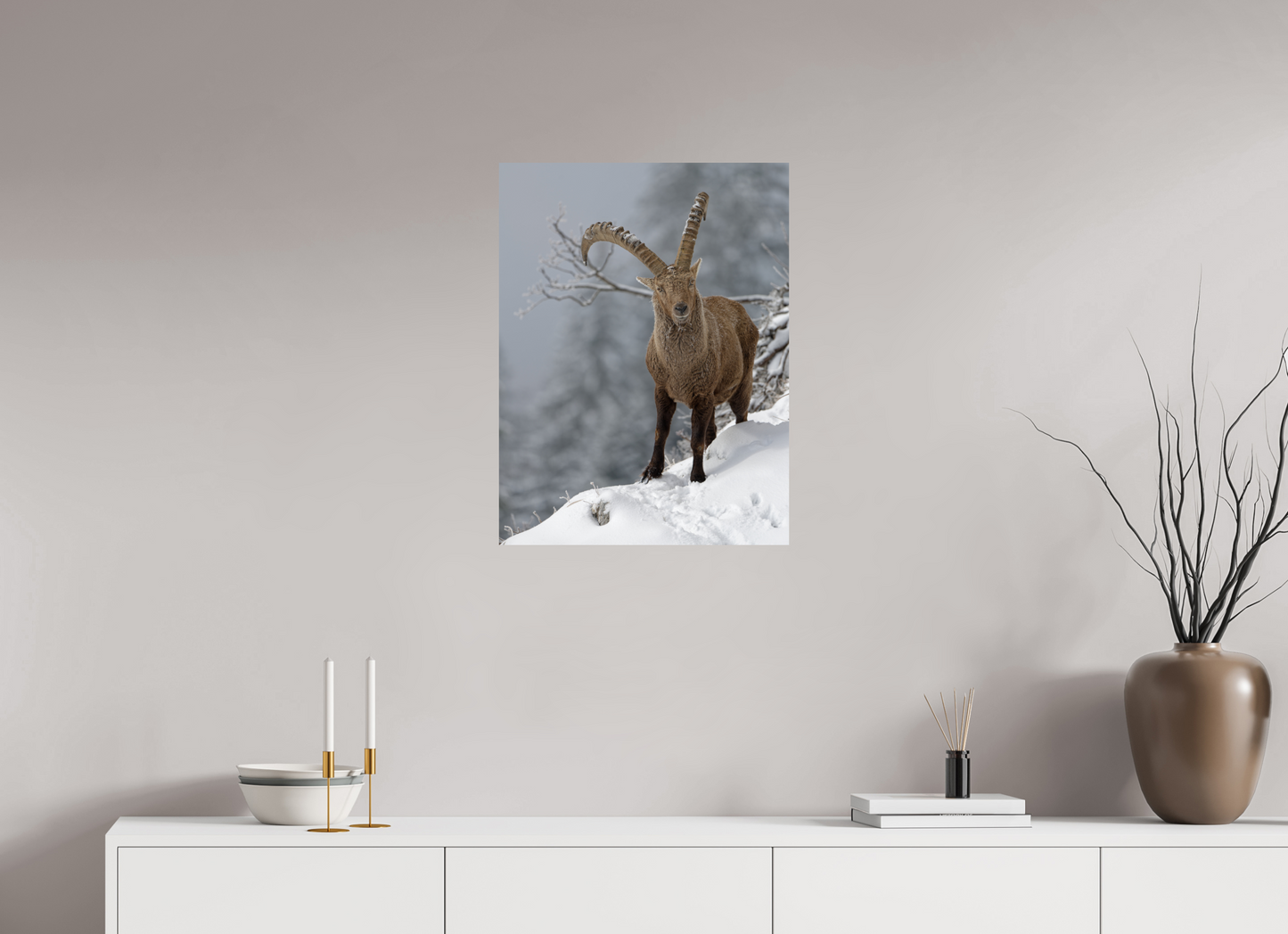 Bouquetin / Ibex