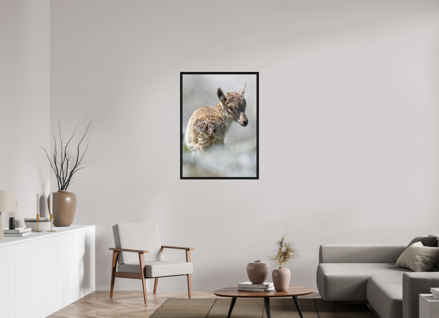 Bouquetin / Ibex