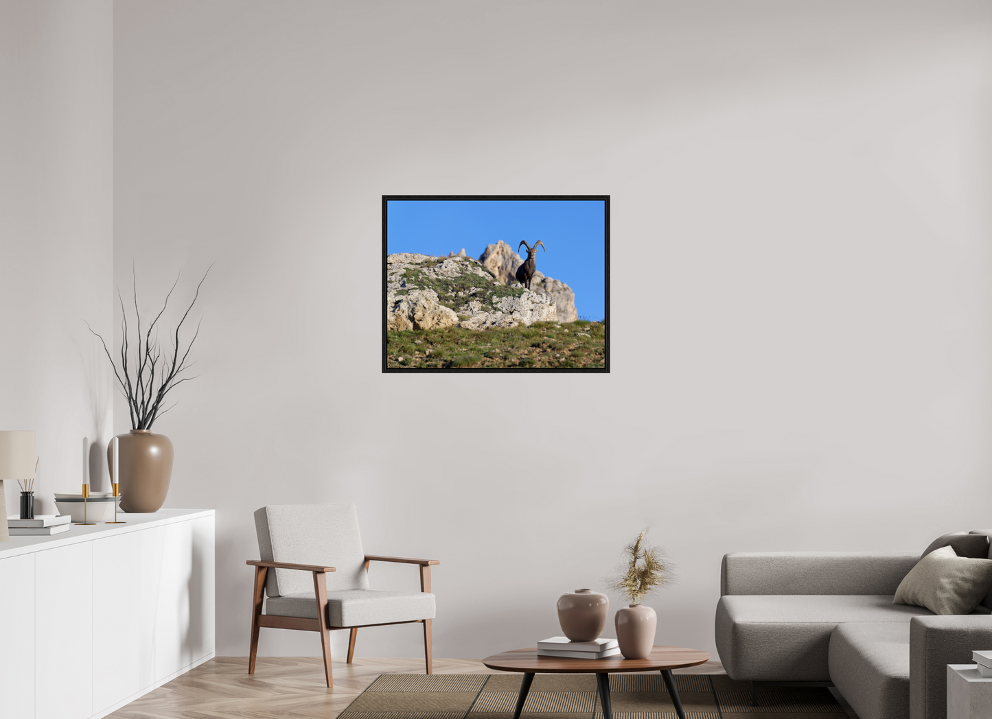 Bouquetin / Ibex
