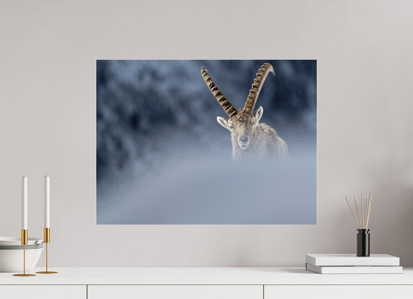 Bouquetin / Ibex