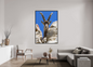 Bouquetin / Ibex