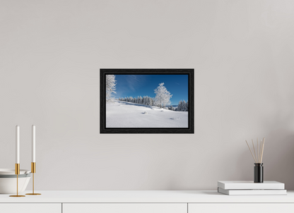 Hiver / Winter