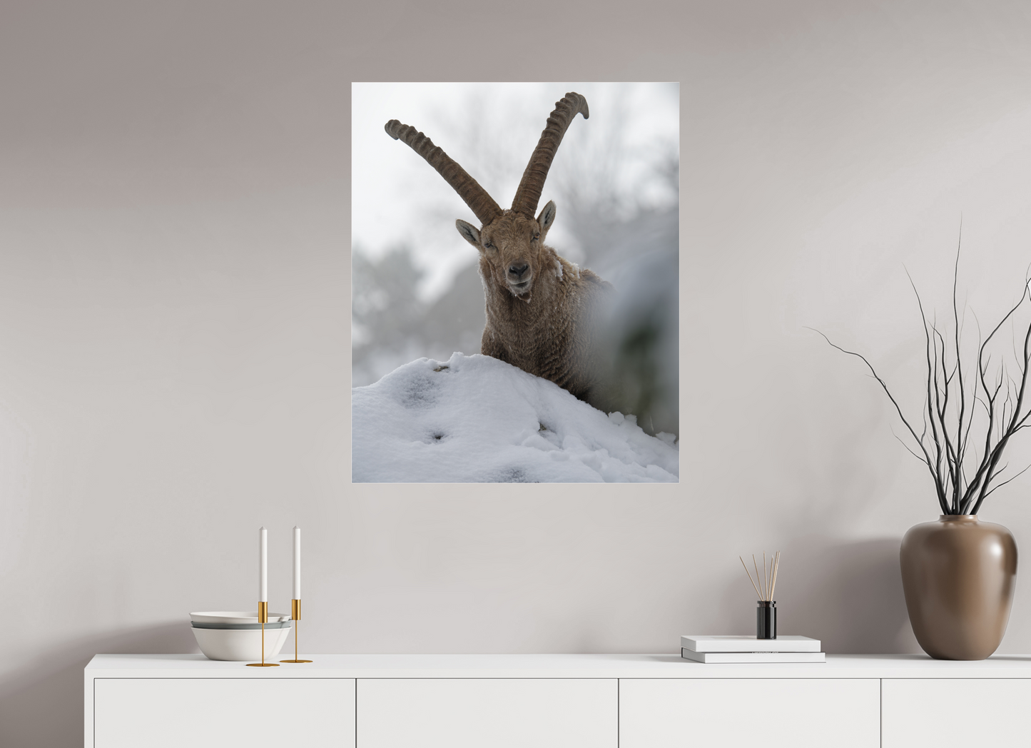 Bouquetin / Ibex