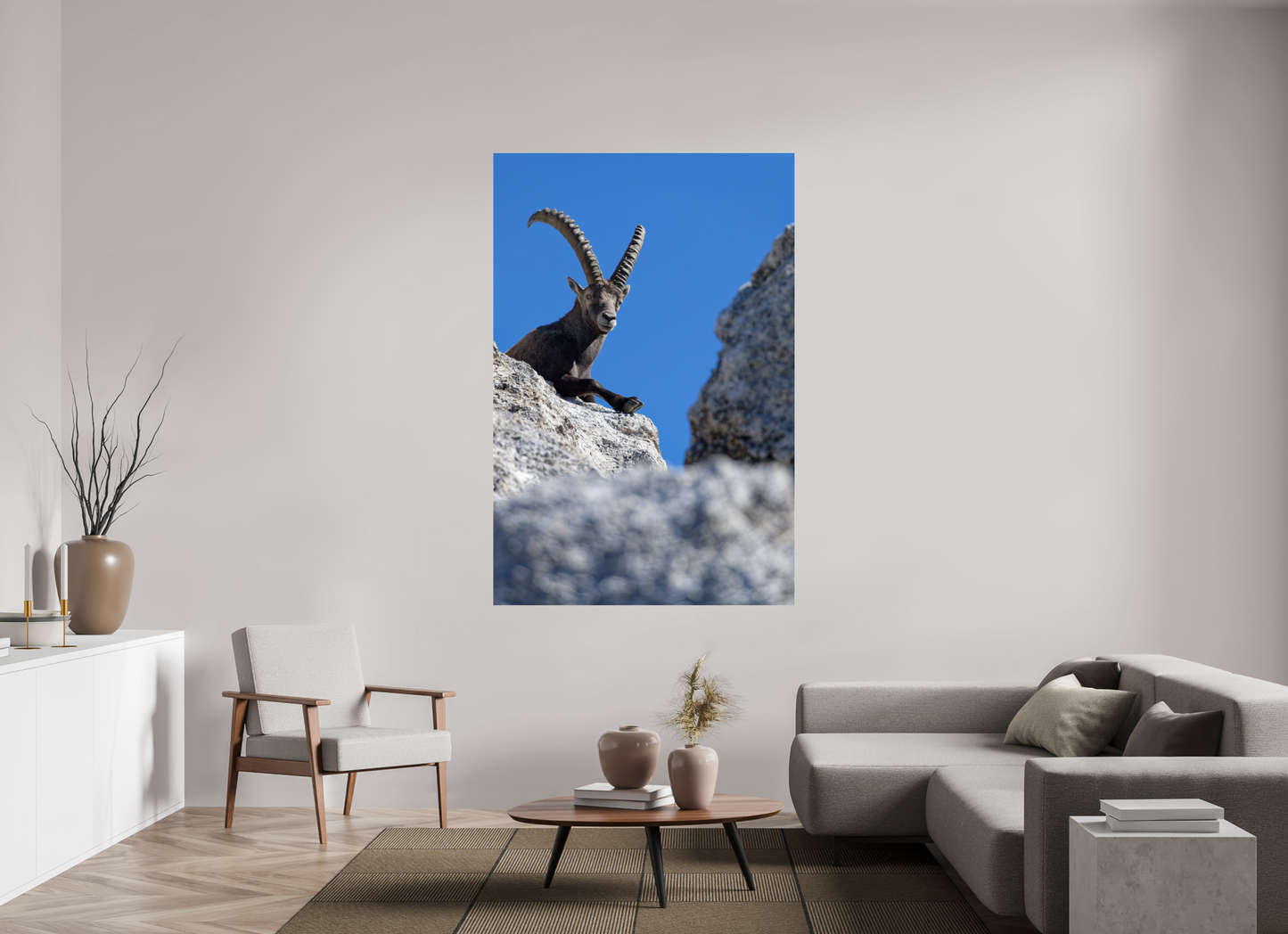 Bouquetin / Ibex