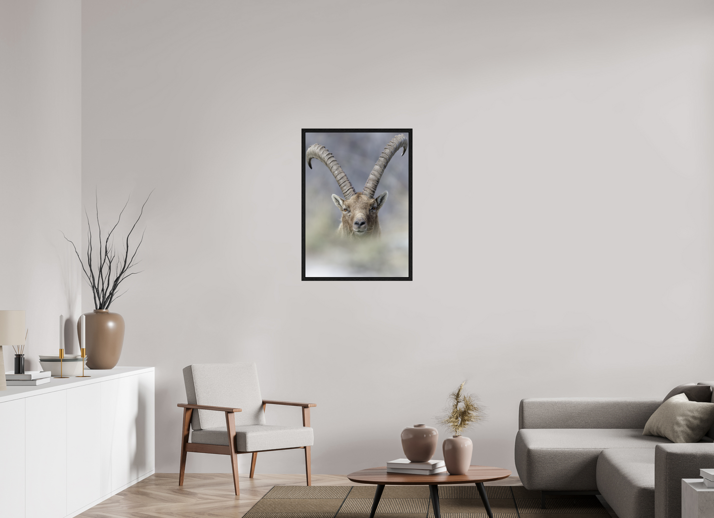 Bouquetin / Ibex
