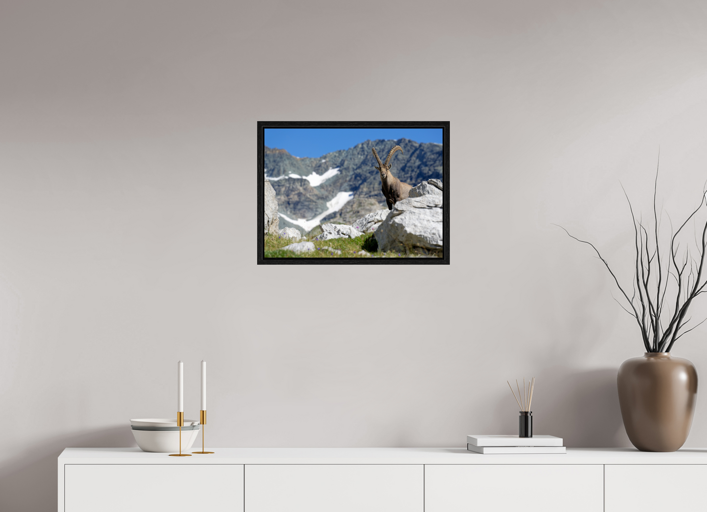 Bouquetin / Ibex