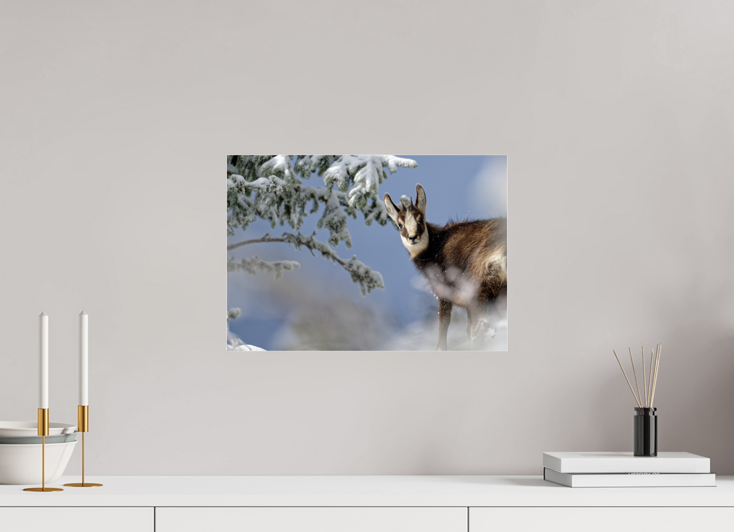 Chamois
