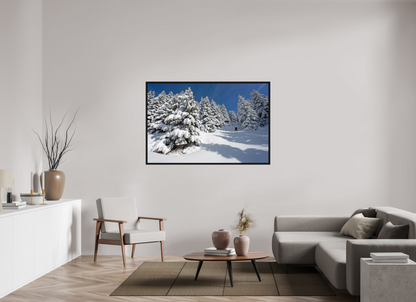 Hiver / Winter