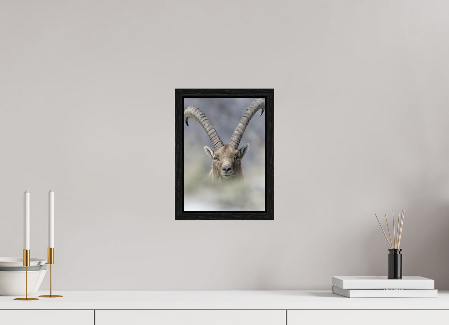 Bouquetin / Ibex