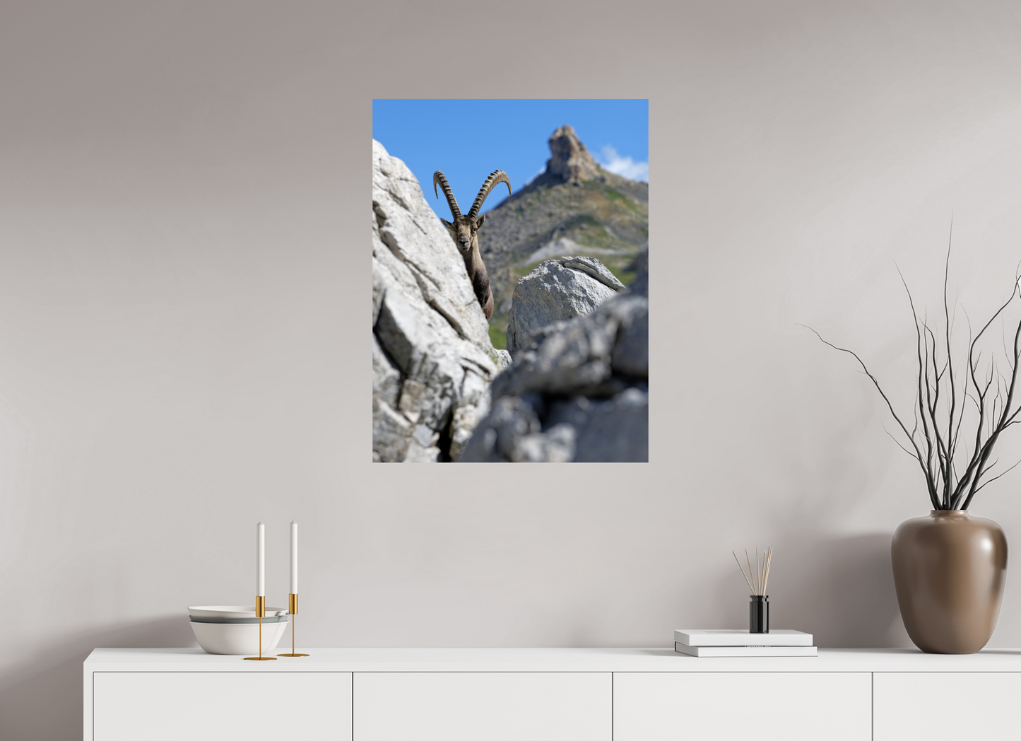 Bouquetin / Ibex