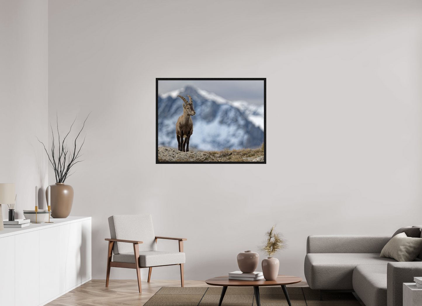 Bouquetin / Ibex