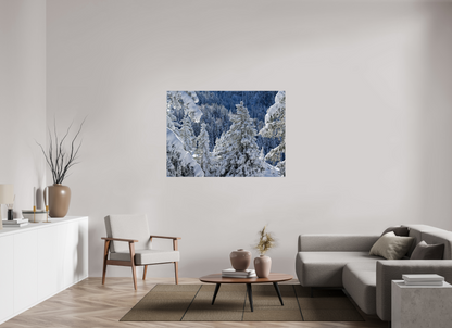 Hiver / Winter