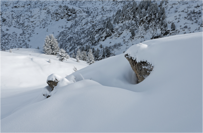 Hiver / Winter