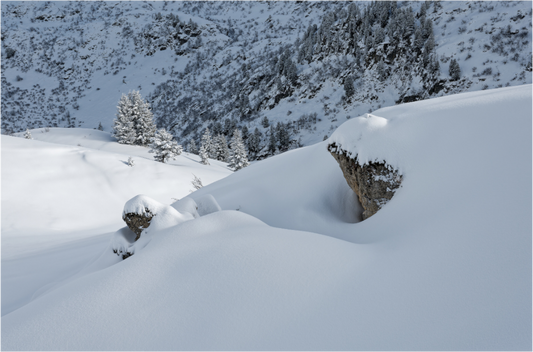 Hiver / Winter