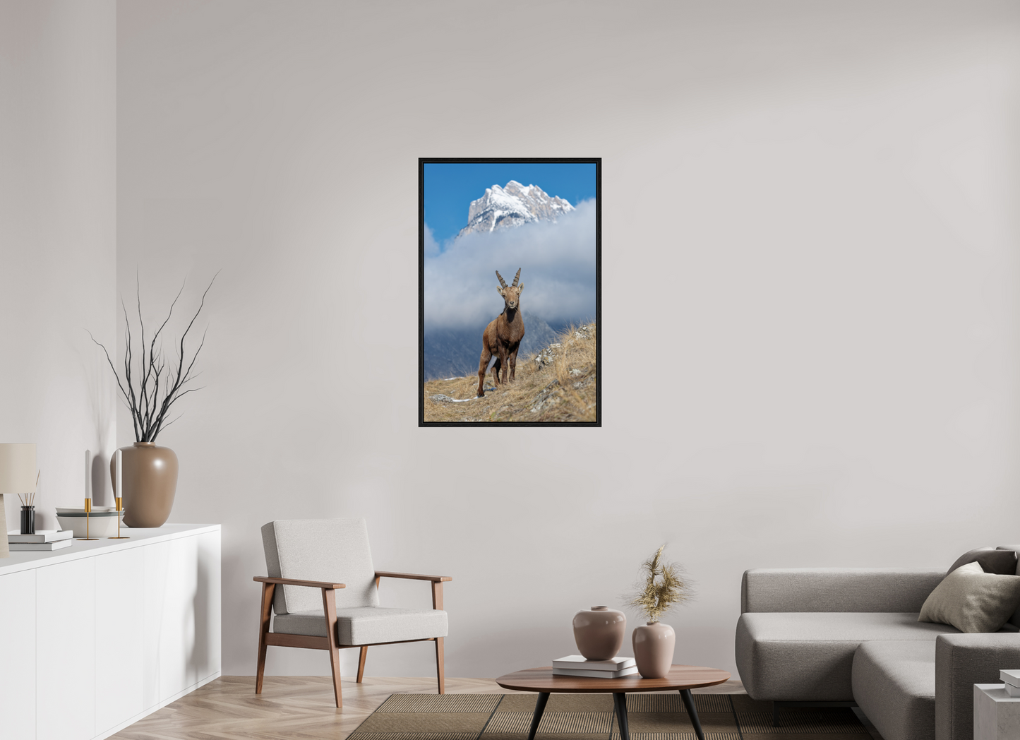 Bouquetin / Ibex